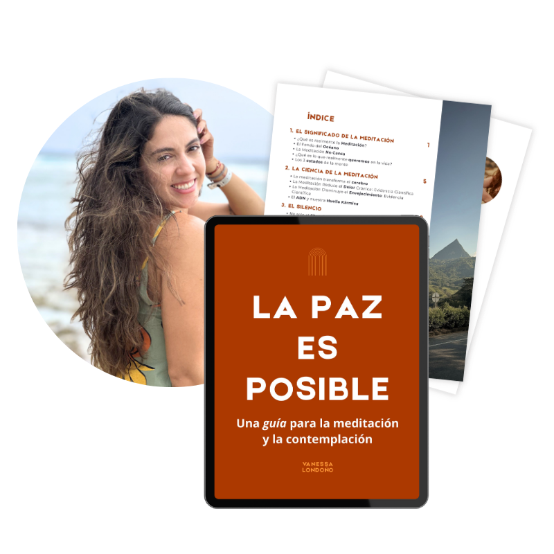 Diseño guía la paz es posible